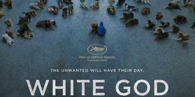 Header Critique : WHITE GOD (FEHER ISTEN)