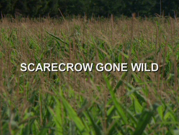 Header Critique : SCARECROW GONE WILD
