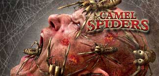 CAMEL SPIDERS