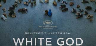 CRITIQUE : WHITE GOD