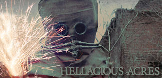 CRITIQUE : HELLACIOUS ACRES (LUFF 2011)