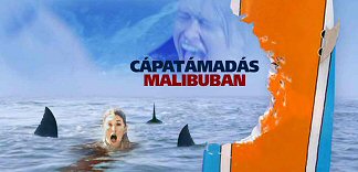 CRITIQUE : CAPATAMADAS MALIBUBAN