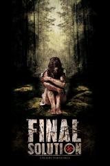 FINAL SOLUTION (2010) - Teaser Poster