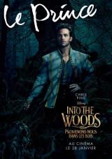 INTO THE WOODS  - Poster : Le prince
