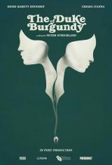 
                    Affiche de THE DUKE OF BURGUNDY (2014)