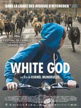 
                    Affiche de WHITE GOD (2014)