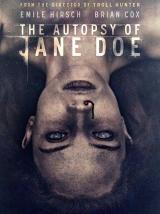 
                    Affiche de THE JANE DOE IDENTITY (2016)