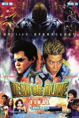
                    Affiche de DEAD OR ALIVE 3 (2002)
