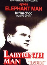 
                    Affiche de LABYRINTH MAN (1977)