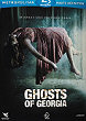 THE HAUNTING IN CONNECTICUT 2 : GHOSTS OF GEORGIA Blu-ray Zone B (France) 