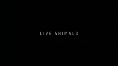 Header Critique : LIVE ANIMALS
