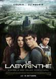 LABYRINTHE, LE (THE MAZE RUNNER) - Critique du film