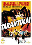 TARANTULA - Critique du film