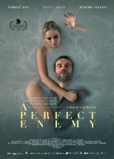 A PERFECT ENEMY : poster international #14018