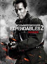 EXPENDABLES 2 - Schwarzenegger Poster