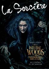 INTO THE WOODS  - Poster : La sorcière