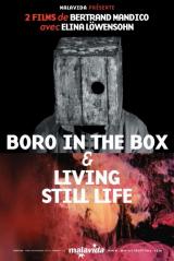 Boro in the box - Poster
