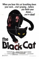 THE BLACK CAT - Poster