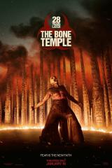 
                    Affiche de 28 ANS PLUS TARD : LE TEMPLE DES MORTS (2026)