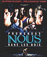 
                    Affiche de PROMENONS-NOUS DANS LES BOIS (2000)