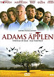 ADAMS AEBLER DVD Zone 2 (Suede) 