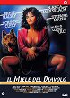 IL MIELE DEL DIAVOLO DVD Zone 2 (Italie) 