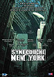 SYNECDOCHE, NEW YORK DVD Zone 2 (France) 