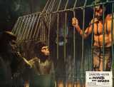 PLANET OF THE APES Lobby card